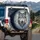Grey Wolf Pink Rose Midnight Blue Ivory Baroque Floral Vine Arabesque - Wildlife Lover Gift Spare Tire Cover - 3