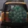 Fanned Iridescent Peacock Ocelli Tail Feathers - Wildlife Lover Car Decor Gift Spare Tire Cover - 5
