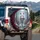 White Wolf Red Roses Snow Forest Scene - Wildlife Lover Vehicle Accessory Spare Tire Cover - 3