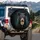 Realistic Black Bear Cub Vibrant Swirl Lollipop Luminous Dark Forest - Wildlife Lover Gift Spare Tire Cover - 3