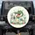 Curious Chunky Alligator Scientist Lab Glassware - Gift for Science Enthusiasts Spare Tire Cover - 1