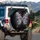 Jewel Butterfly Gold Filigree Celestial Outdoor - Car Decor Gift for Butterfly Lovers Spare Tire Cover - 3