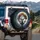 Majestic Stag Antlers Autumn Tree Full Moon - Nature Lover Gift Spare Tire Cover - 3