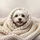 White Maltese Dog Knitted Blanket - Dog Lover Car Decor Gift Spare Tire Cover - 6