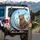 Majestic Capybara Wildflower Monarchs - Wildlife Lover Gift Spare Tire Cover - 3