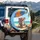 Koala Pink Sunglasses Tropical Beach Scene - Summer Vacation Decor for Beach Lovers Spare Tire Cover - 3