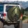 Grizzly Bear Family Pacific Northwest Forest Path - Wildlife Lover Gift Spare Tire Cover - 3