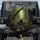 Grizzly Bear Family Pacific Northwest Forest Path - Wildlife Lover Gift Spare Tire Cover - 1