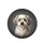 Fluffy Shih Tzu Havanese Mix Dog with Cream Grey Fur - Car Decor Gift for Dog Lovers Spare Tire Cover - 4