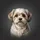 Fluffy Shih Tzu Havanese Mix Dog with Cream Grey Fur - Car Decor Gift for Dog Lovers Spare Tire Cover - 6