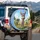 Baby Donkey Wildflower Meadow Honeybees - Countryside Decor Gift for Animal Lover Spare Tire Cover - 3