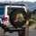 Green Head Orange Shell Sea Turtle Cracked Ground - Ocean Lover Gift Spare Tire Cover - 3