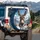 Friendly Donkey Face Snow Mountains Pine Trees - Wildlife Lover Gift Spare Tire Cover - 3