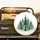 Evergreen Forest Pine Fir Trees Red Baubles - Woodland Outdoor Gift for Nature Lovers Spare Tire Cover - 2