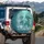 Swimming Sea Turtles Underwater Coral Reef Shells Starfish - Ocean Lover Gift Spare Tire Cover - 3