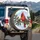 Northern Cardinal Holly Berries - Winter Christmas Gift for Bird Lover Spare Tire Cover - 3