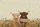 Highland Cows Wildflower Sign Farmhouse - Everyday Carry Gift for Cow Lover Quilted Tote Bag - 7