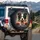 Funny Border Collie Dog Eating Spaghetti Meatballs - Dog Lover Gift Spare Tire Cover - 3