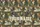 Deer Skull Antlers Woodland Leaves With Name - Everyday Carry Wildlife Lover Gift Quilted Tote Bag - 7