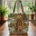 Grizzly Bear Personalized Name Sign Rustic Forest - Wildlife Lover Gift Quilted Tote Bag - 3
