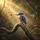 Red-backed Kingfisher Gnarled Branch Tropical Forest - Wildlife Lover Gift for Bird Watchers Spare Tire Cover - 6