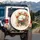 White Cat Sleeping Books Poppies Roses Wildflowers - Cat Lover Car Decor Gift Spare Tire Cover - 3