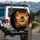 Bumblebee Amber Honey Hexagon Lattice Golden Honeycomb - Wildlife Lover Gift Spare Tire Cover - 3