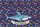 Great White Shark Colorful Fish Sea Bubbles - Ocean Lover Everyday Carry Gift Quilted Tote Bag - 7