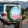Pink Flamingos Tropical Palms Summer Vacation Road Trip Essentials for Flamingo Lover Spare Tire Cover - 3