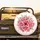 Pink Stargazer Lilies Garden Floral - Nature Lover Car Decor Gift Spare Tire Cover - 2