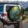 Panther Chameleon Gnarled Textured Branch Tropical Jungle Wildlife Lover Gift Spare Tire Cover - 3