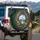 Snowy Mountain Lake Ornate Baroque Frame Wildflowers - Nature Lover Gift Spare Tire Cover - 3