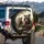 Raccoons Red Blue Sunglasses Steering Wheel - Adventure Lover Road Trip Gift Spare Tire Cover - 3