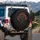 Ancient Gnarled Fire Tree, Glowing Embers - Outdoor Adventure Gift Spare Tire Cover - 3