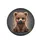 Cuddly Sitting Brown Bear Cub with Glossy Eyes Rosy Cheeks - Wildlife Lover Vehicle Decor Spare Tire Cover - 4