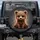 Cuddly Sitting Brown Bear Cub with Glossy Eyes Rosy Cheeks - Wildlife Lover Vehicle Decor Spare Tire Cover - 1