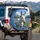 Majestic White Donkey Blue Flower Mountain - Farmhouse Decor Gift for Animal Lover Spare Tire Cover - 3