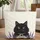 Fluffy Black Cat Golden Eyes Lavender Butterflies - Everyday Carry Gift for Cat Lover Quilted Tote Bag - 1