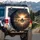 Commercial Airliner Runway Sunset - Aviation Enthusiast Travel Essentials Gift Spare Tire Cover - 3