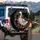 White Goose Folk Art Floral Blossoms Leaves Swirling Tendrils - Wildlife Lover Gift Spare Tire Cover - 3