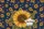 Navy Goldenrod Sunflower Distressed Star Cartouche Personalized Everyday Travel Carry Gift Quilted Tote Bag - 7