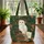 Autumn Leaves Moss Forest Barn Owl Antique Books Journal - Everyday Carry Gift Quilted Tote Bag - 3
