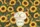 Sleeping White Cat Sunflowers Name Floral Wreath Everyday Carry Gift for Cat Lover Quilted Tote Bag - 7