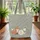Forest Fox Badger Leaves Berries Floral Medallion Everyday Carry Gift Quilted Tote Bag - 3