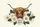Highland Cow Daisy Name Garland - Everyday Carry Gift for Cow Lover Quilted Tote Bag - 7