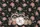 Raccoons Among Pink Roses Green Foliage Floral Wreath Wildlife Lover Gift Quilted Tote Bag - 7