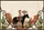 Cowgirl Horseback Desert Mesa Personalized Name Sign Everyday Carry Gift Quilted Tote Bag - 7