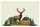 Majestic Elk Antlers Mountain Landscape - Wildlife Lover Everyday Carry Gift Quilted Tote Bag - 7
