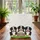 Bernese Mountain Dog Puppies Wooden Sign 'Your Name' - Everyday Carry Gift Dog Lover Quilted Tote Bag - 3