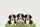 Bernese Mountain Dog Puppies Wooden Sign 'Your Name' - Everyday Carry Gift Dog Lover Quilted Tote Bag - 7